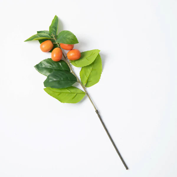 Cumquat Stem 19x58cm Green/Orange