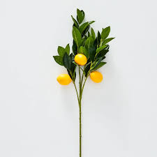 Lemon Stem 18x58cm Green/Yellow