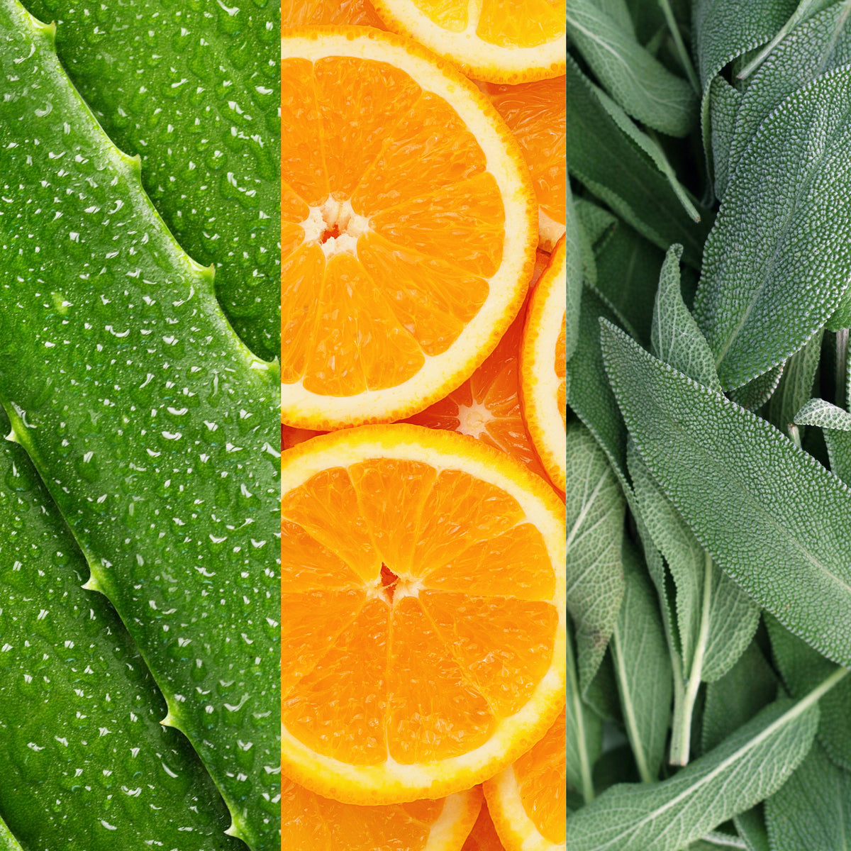 Facial Spray with Aloe, Sage &amp; Orange Blossom