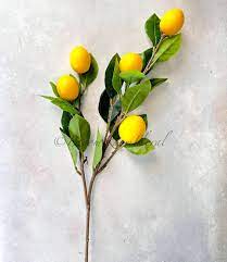 Lemon Stem 31x74cm Green/Yellow