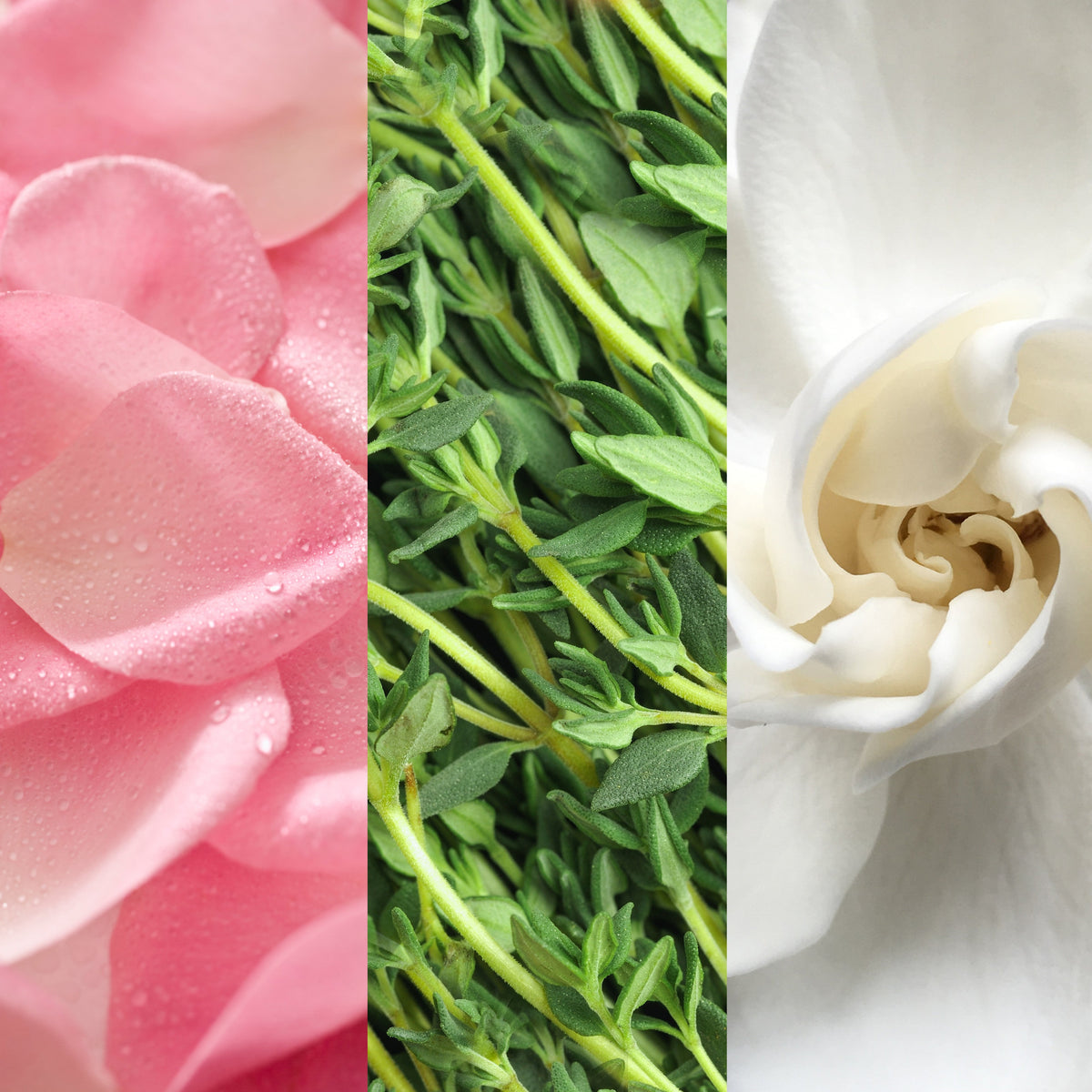 Facial Spray with Aloe, Herbs &amp; Rosewater