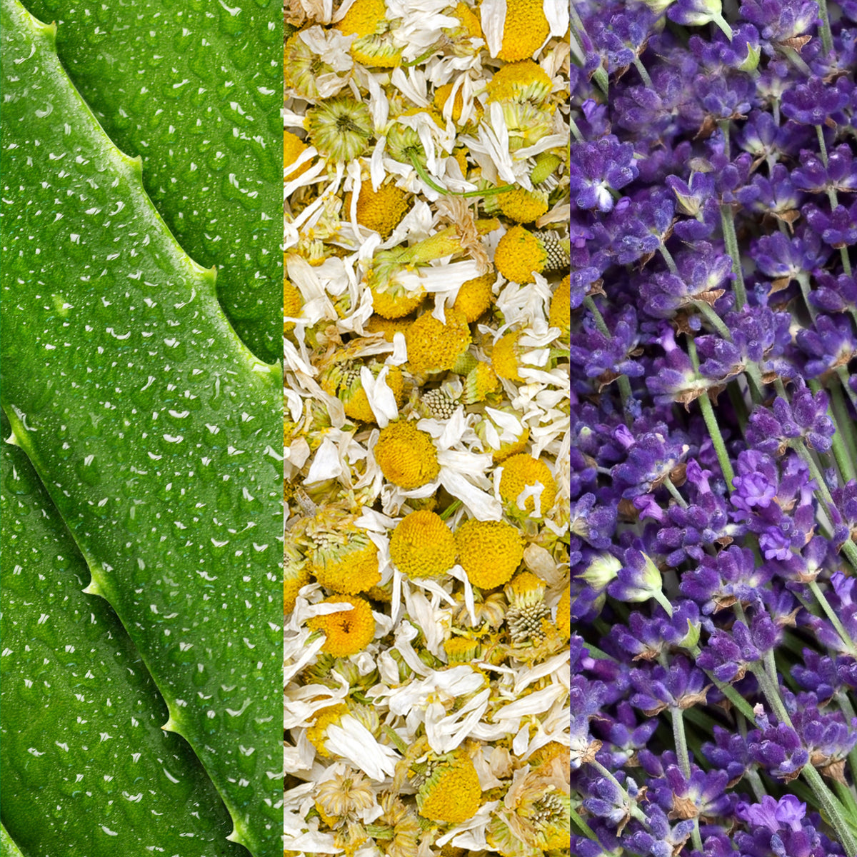 Facial Spray with Aloe, Chamomile &amp; Lavender
